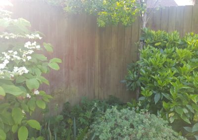 Before Garden Fence