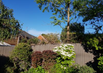 After Garden Fence