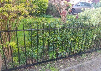 After Garden Railings